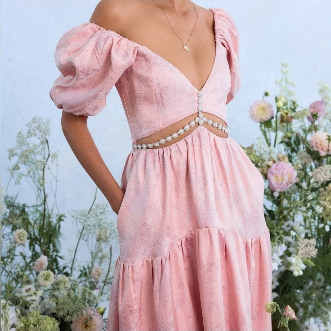 V. Chapman The Emma Dress in Light Pink Windsor Brocade Sz 8